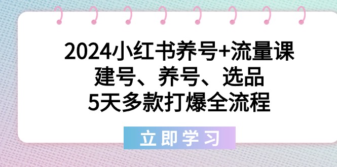 2024小红书养号+流量课：建号、养号、选品，5天多款打爆全流程-灵悟轻创社